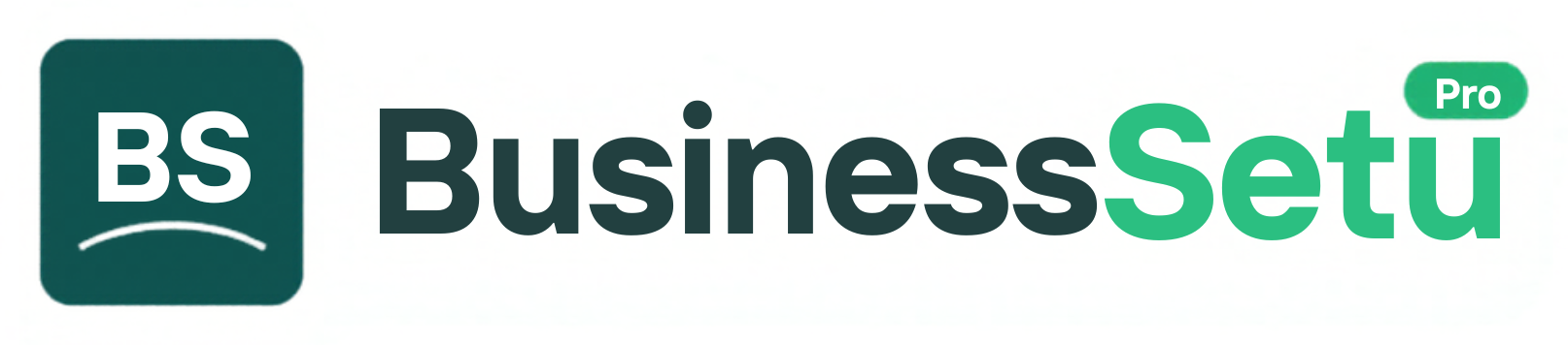 BusinessSetu Pro